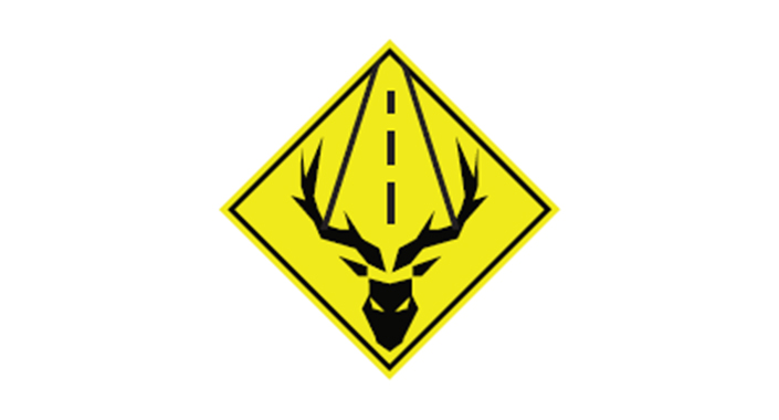 ACTION TRUCK