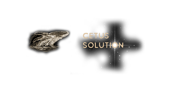 CETUS SOLUTION LLC